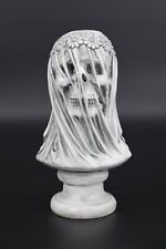 LAIKEARTS Veiled Skull Sculpture, Halloween Skull Decoration Gift, Vintage Gr... picture