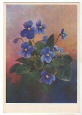 1974 VIOLETS Violet Viola Flowers ART Soviet Russian postcard Old Vintage picture