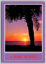 Postcard Florida A rare sunset along the Gulf of Mexico c1989 9W picture