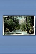 FOUND VINTAGE PHOTO C+1912 HAND COLORED PHOTO OF RIVER,FOREST picture