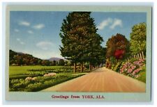 c1910's Greetings From York Alabama AL, Road View Unposted Antique Postcard picture