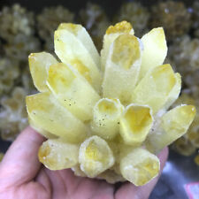 1pcs 300g+ Natural Crystal electroplate yellow Cluster Quartz Specimen Reiki  01 picture