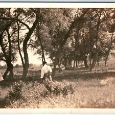 c1910s Lovely Scenic Park Trees & Man RPPC Kodak Velvet Green Real Photo PC A139 picture