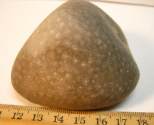 .65lb 298g 75mm FOSSIL CHARLEVOIX CORAL PETOSKEY MICHIGAN *NOT A PETOSKEY STONE* picture