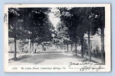1905. MCLELLAN STREET, CAMBRIDGE SPRINGS, PA. POSTCARD. SZ23 picture