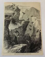 1877 magazine engraving ~ ROCKY MOUNTAIN SHEEP surprised by surveying party picture