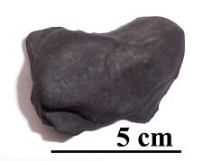 NEWEST OZERKI meteorite L6, fall June 21, 2018, Russia, individual 127 grams picture