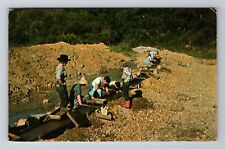 Franklin NC-North Carolina, Panning For Rubies And Minerals, Vintage Postcard picture