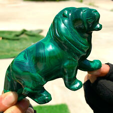 458G Natural glossy Malachite Crystal Handcarved lion mineral sample picture