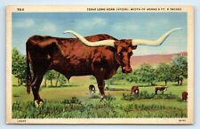 Fredericksburg TX Texas Long Horn Steer Linen Postcard Posted 1943    pc2 picture