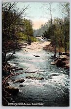 Danbury Connecticut Beaver Brook River Rapids Riverfront Forest Vintage Postcard picture
