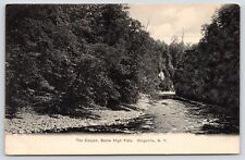 Dolgeville New York~Canyon Below High Falls~Rocky East Canada Creek~c1905 B&W PC picture
