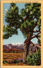 Joshua Palm on the Desert, California Postcard Linen J04 picture