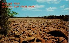 Big Boulder Field, Lake of Rocks, Hickory Run State Park Vintage Postcard spc4 picture