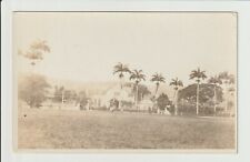 Puerto Rico RPPC Tropical Outdoor View Real Photo Postcard 1915 PR UN-POSTED picture