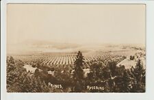 Roseburg Oregon RPPC Prune Trees farm 1910s era Real Photo Postcard OR UN-POSTED picture