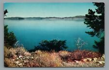 Mono Lake and Islands California Dead Sea of America Chrome Posted Postcard 1961 picture