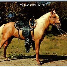 c1970s Tawas City, Mich. Greetings Horse Charter Oak, IA Purple USPO Cancel A264 picture