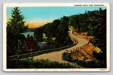 c1947 Lakeside Drive Lake Taneycomo VINTAGE Postcard picture