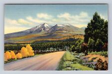 Flagstaff AZ-Arizona, San Francisco Peaks, Antique, Vintage Souvenir Postcard picture