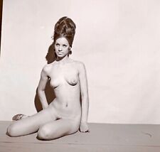 Vintage 1960s Amateur Big Haired Nude Model Large Format Negative picture