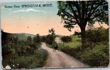 1915 Scene near SPRINGDALE MONTANA Antique Postcard B21 picture
