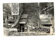 1949 RPPC World Famous Tree House At The Tree House Park, Redwood HWY. picture