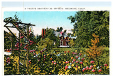 Piedmont CA House Flowers Garden Landscape c.1925 Vintage White Border Postcard picture