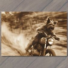 POSTCARD Dog People Motorcycle Weird Creepy Vintage Vibe Unreal Unusual Strange picture