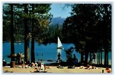c1950 Humane Lake Fun At Beach Bathing Swimming & Sail Boating Unposted Postcard picture
