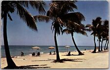POSTCARD Sun tanning Florida Palm trees and good times picture