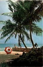 Inverness, Florida beach, ESVILL, Mr. and Mrs. R. Basile,  Postcard picture