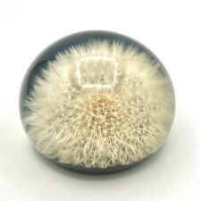 Vintage Lucite Dandelion Paperweight Encased In Resin Handmade In Canada Natural picture