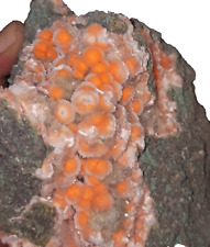 Thomsonite Orange Rare Find Free Standing Natural Mineral Specimen  picture