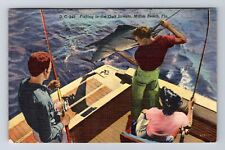 Miami Beach FL-Florida, Fishing in the Gulf Stream, Vintage c1950 Postcard picture