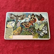 Late 1800s Early 1900s Era Emil Uhlmann BUTTERFLIES German Food Card Serie 5339 picture