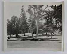 1940s Church Park Walkway Benches Peaceful Vintage Photo picture