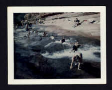 SNAPSHOT from ALBUM* July 1970 Vacation trip SLIDE ROCK ARIZONA - POLAROID picture