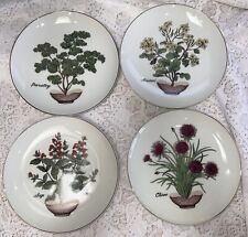 1950s Vintage Set of 4 Porcelain Decorative Kitchen Plates, Herbs 7 Inches picture