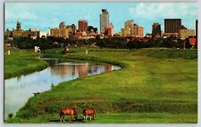 Postcard Fort Worth Texas w Horses picture