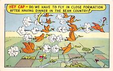 J52/ Amarillo Texas Postcard Chrome Geese Formation Comic Farting Beans 372 picture
