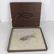 Vintage Ulrich Fossil Station Stone Fish Diplomystus in Original Box picture