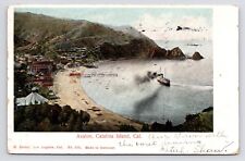 1905~Avalon Bay~Aerial View~Catalina Island CA~Steamer~M Rieder~Antique Postcard picture