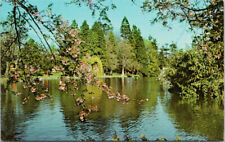 Goodacre Lake Beacon Hill Park Victoria BC UNUSED Vintage Postcard D97 picture
