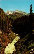 View of North Fork Crystal River Near Aspen Colorado Vintage Postcard  picture