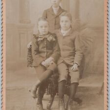 c1880s Newville, PA Sibling Brothers Boys Young Men Cabinet Card Photo Beetem B1 picture