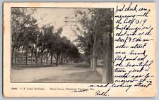 Fryeburg, Maine ME - Summer Streets Scene - Trees & Roads - Vintage Postcard picture
