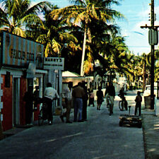 Vintage 1950s Street Scene Queen Highway Postcard Alicetown North Bimini Bahamas picture