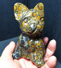 TOP 393G Natural Polished Hand-carved Leopard print pet Dog Healing A2678 picture