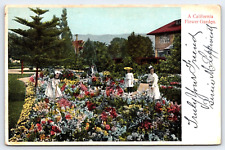 Original Old Vintage Antique Postcard California Flower Garden People 1909 picture